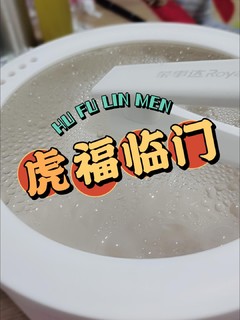 荣事达电煮锅家用