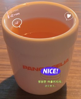 清香解腻的茉莉花茶