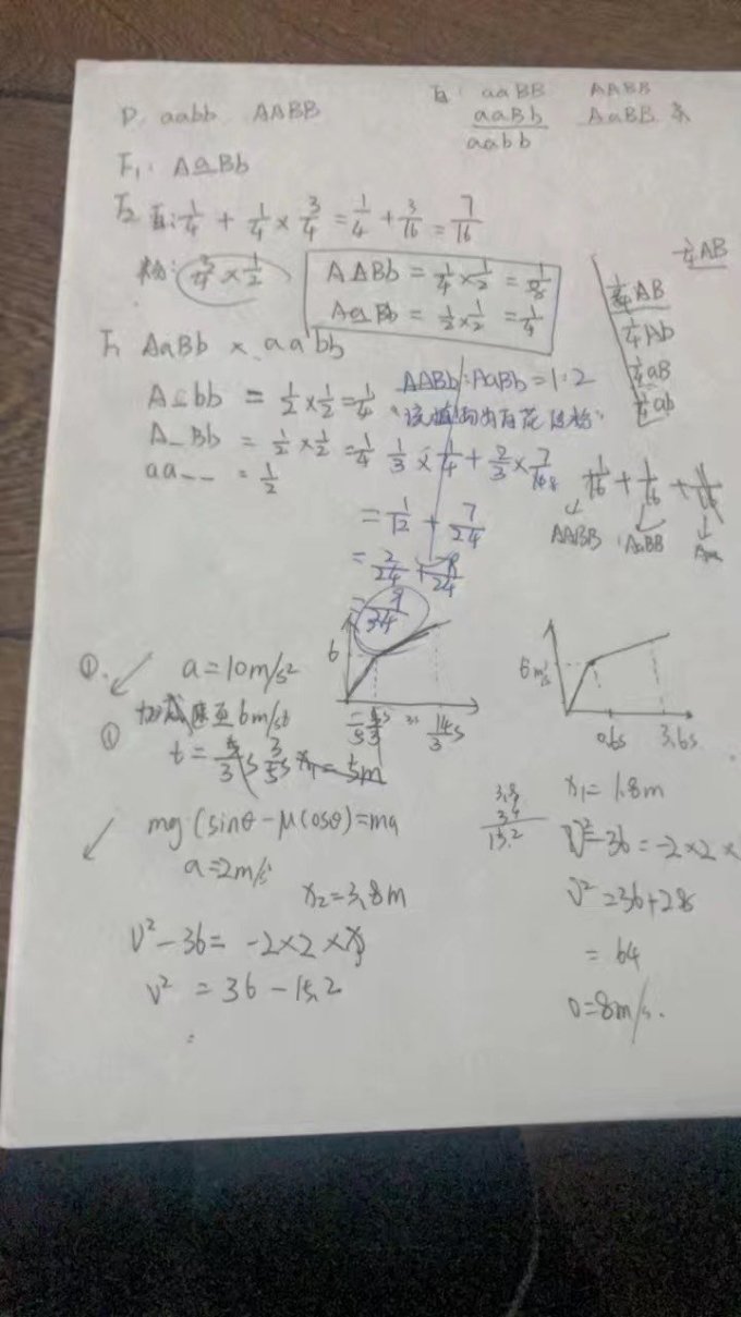 超级无敌好用的学生草稿纸