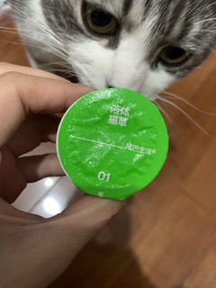 尾巴生活液体猫草体验感