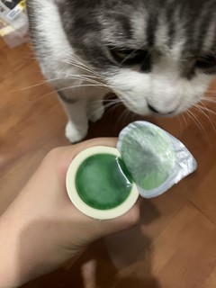 尾巴生活液体猫草体验感