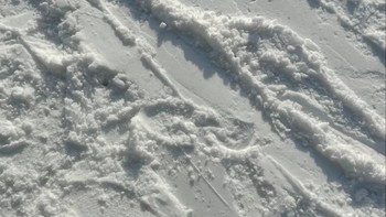 青岛金山滑雪场随便玩玩