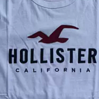 Hollister经典款Logo图案短袖T恤