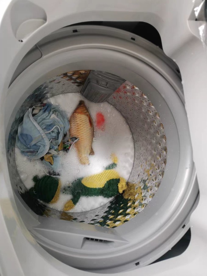 小天鹅波轮洗衣机