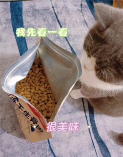 猫友爱鸡肉冻干亲测