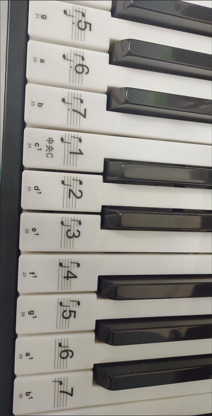 透明88键钢琴贴纸,五线谱简谱音符贴纸