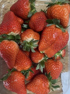 过年吃草莓了，北京小汤山草莓新鲜美味