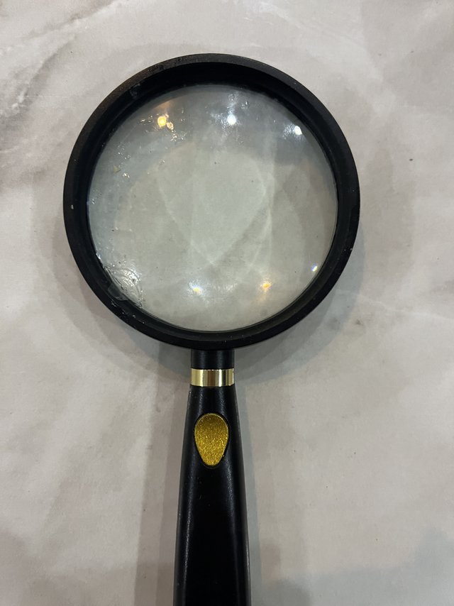 你还记得用放大镜🔍看蚂蚁🐜的你吗