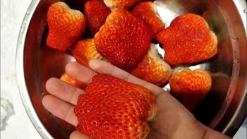 【顺丰空运】四川露天99奶油红颜草莓孕妇应当季水果新鲜整箱包邮