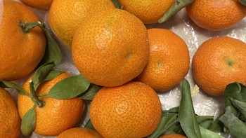 今年过年为什么没人炫砂糖橘了？它明明这么好吃！