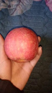 囤年货必不可少的苹果🍎