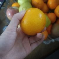 这个橘子很好吃，我经常买很多个，成分很高