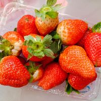 过年吃草莓🍓，好甜好好吃！