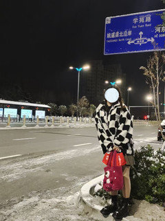 这个冬天当然是一起看雪