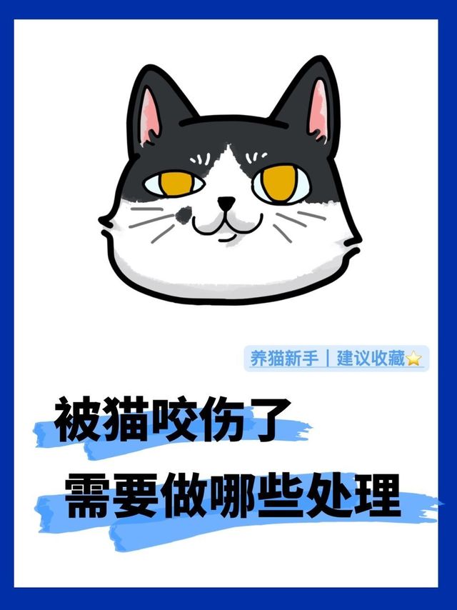 被猫咪咬伤需要马上做哪些处理