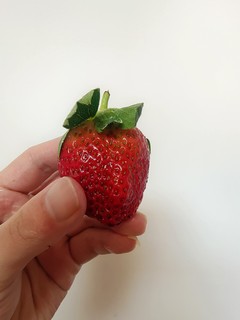又红有大的草莓，吃起来太爽啦