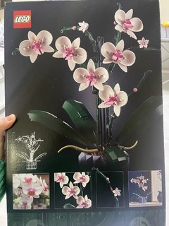 非常逼真的花花