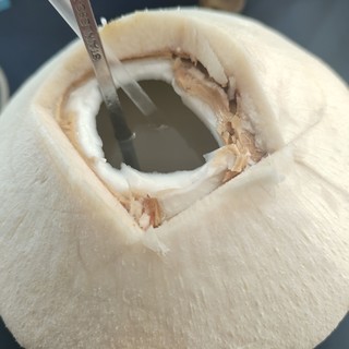 超香超甜椰子一秒到夏天