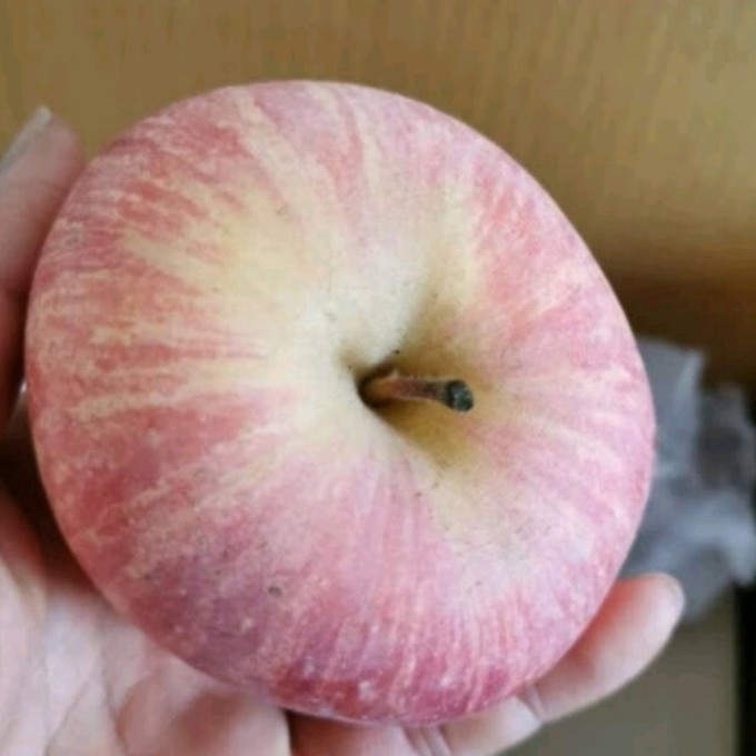 京觅苹果
