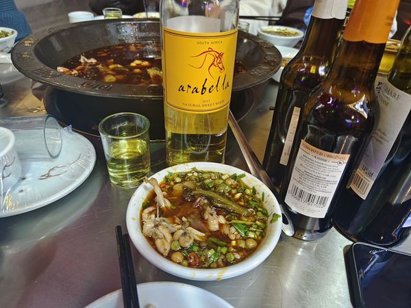 狂野大陆上的优雅--南非长相思