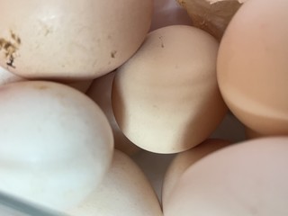 鸡蛋很白煮直接吃很香，