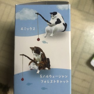 超可爱的日式猫猫盲盒分享💓💓