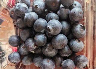 鲜甜可口的秘鲁蓝莓