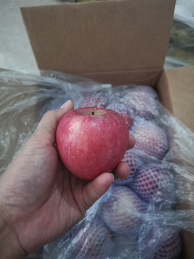 佳农苹果怎么样 不错,包装很好无坏果,个头也很._什么值得买