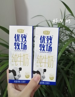 拜访亲戚要带的牛奶！