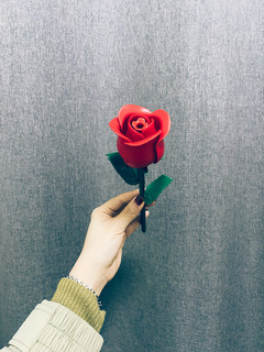 情人节快到了，积木玫瑰花，可以送女朋友