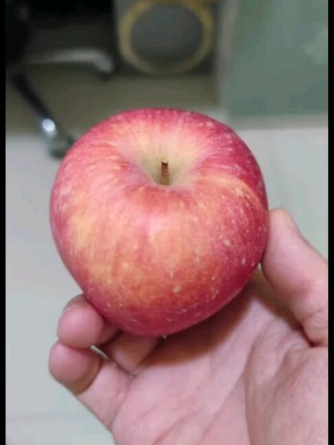 ​烟台红富士苹果，年货首选！