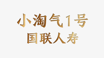 懂保爷保险评测 篇六：国联「小淘气1号」，意料之中的升级 