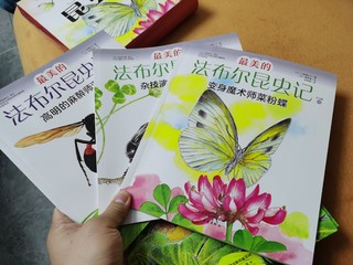 化解孩子对虫虫的恐惧