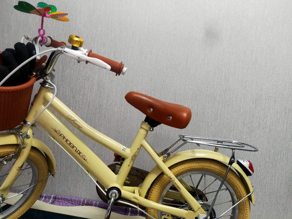  凤凰儿童自行车女孩