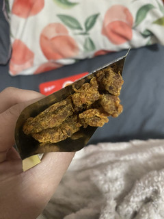 这个好吃的手撕鸡肉干