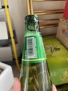 青啤逸品纯生