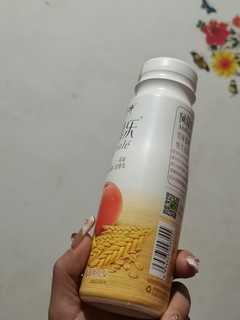 生牛乳发酵，麦香四溢