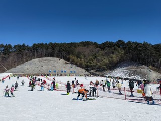 过年出游，滑雪⛷️走起！