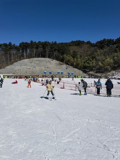 过年出游，滑雪⛷️走起！