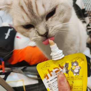 小猫咪都爱吃的咕噜酱!