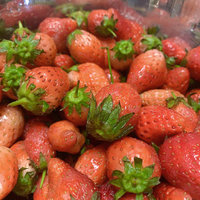 草莓的季节来啦！太甜啦