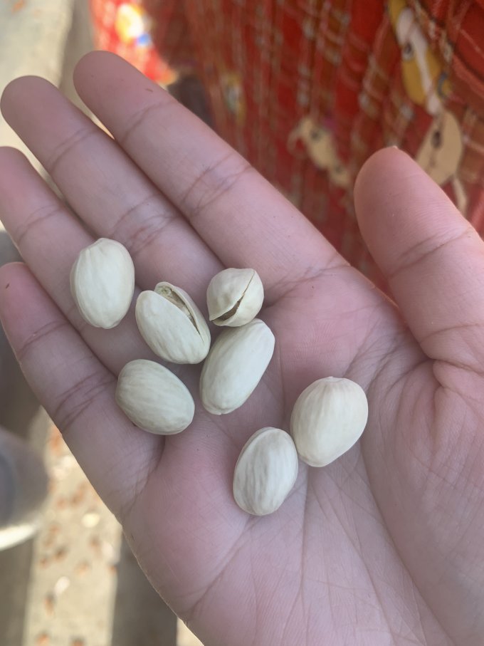 良品铺子开心果怎么样 大颗粒开心果 奶味原味无添加健康零食_什么