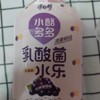 康师傅乳酸菌小酪，饮料新选择