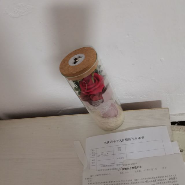 谁还没给对象送这个可以永久保存的永生花