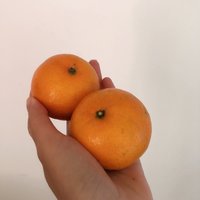 今日份橘子🍊分享｜好甜