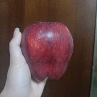 红彤彤的大苹果！好甜！