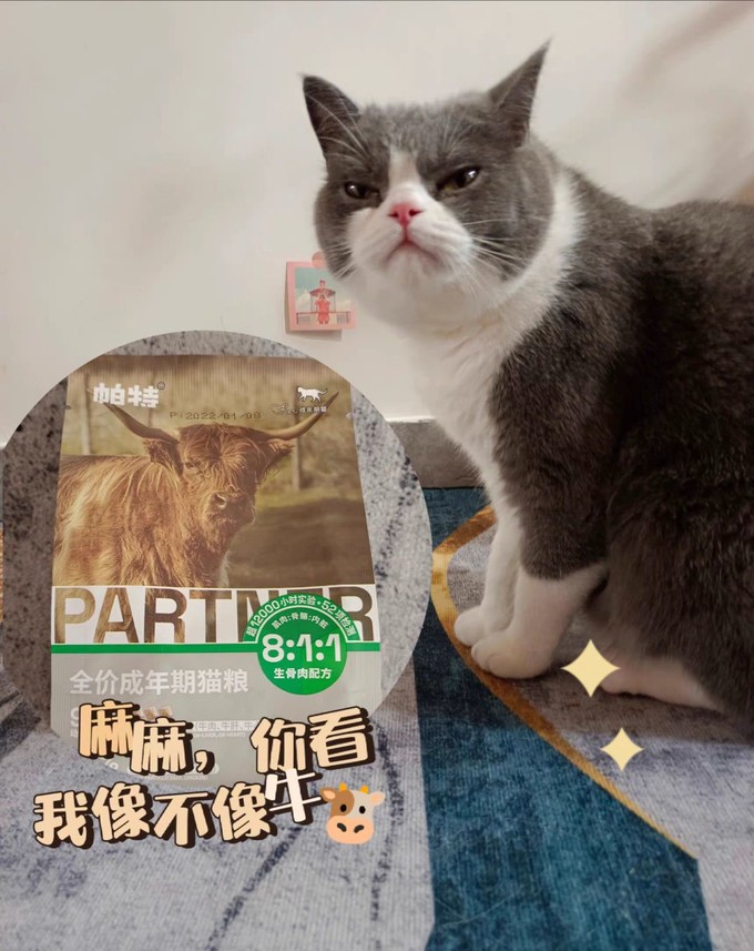 帕特猫咪干粮