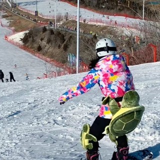 我滑雪好物，乌龟形状的护膝