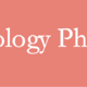  拥有NAS的生活 篇三：Synology Photos自动整理照片神器　