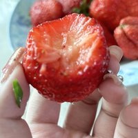 快来看看又大又甜的草莓